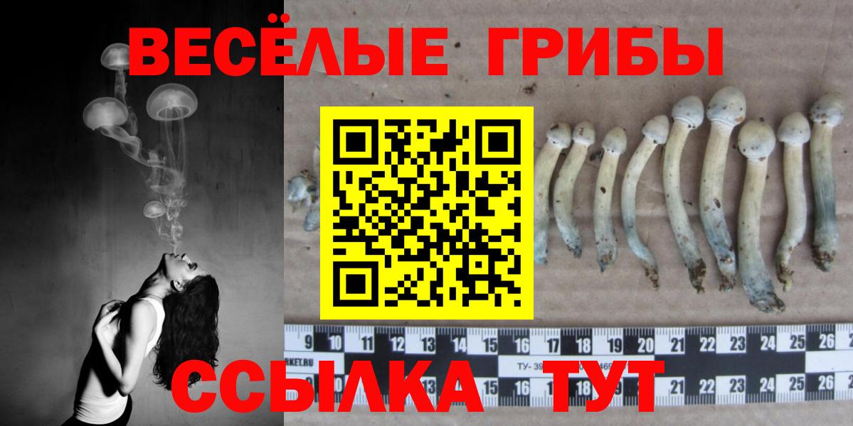 Галлюциногенные грибы мухоморы Муром