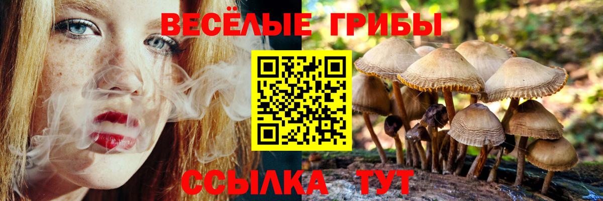 Муром  Псилоцибиновые грибы Magic Shrooms  Вход с VPN  Галлюциногенные грибы Cubensis 